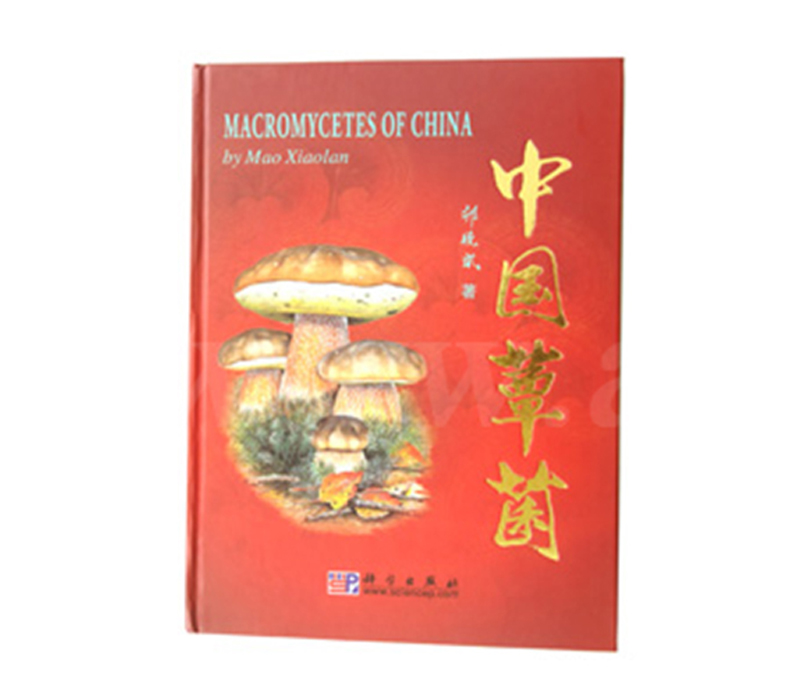 《赏金船长官网蕈菌》